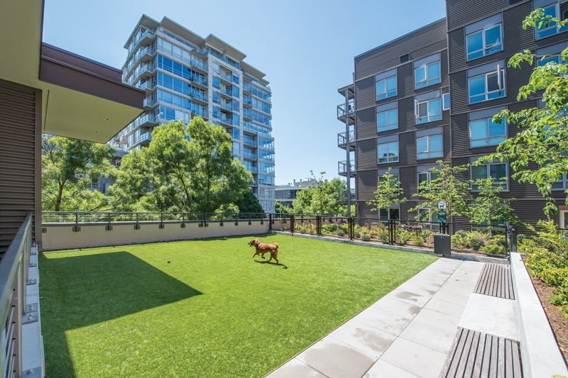 Dog walking in apartment complex dog park after pooper scooper service